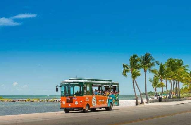 orange and green trolley bus driving along the beach with palm trees at historic tours of america key west