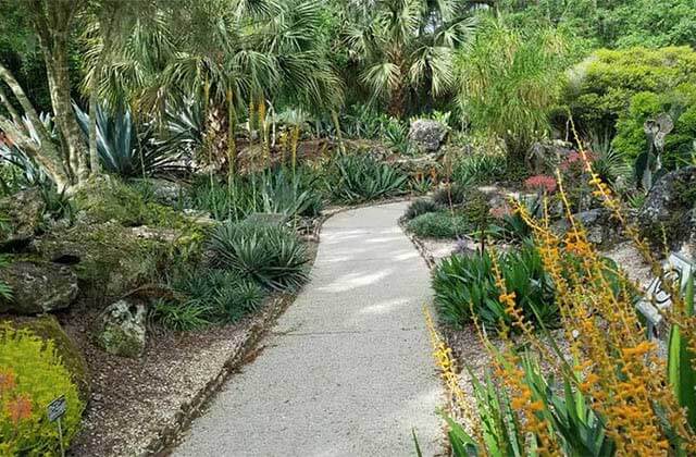 pathway through a tropical garden at kanapaha botanical gardens gainesville