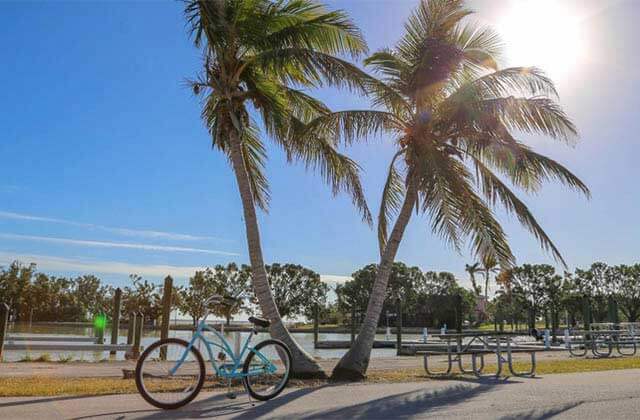 rental bike on a beach with palm trees at flamingo adventures at everglades national park homestead