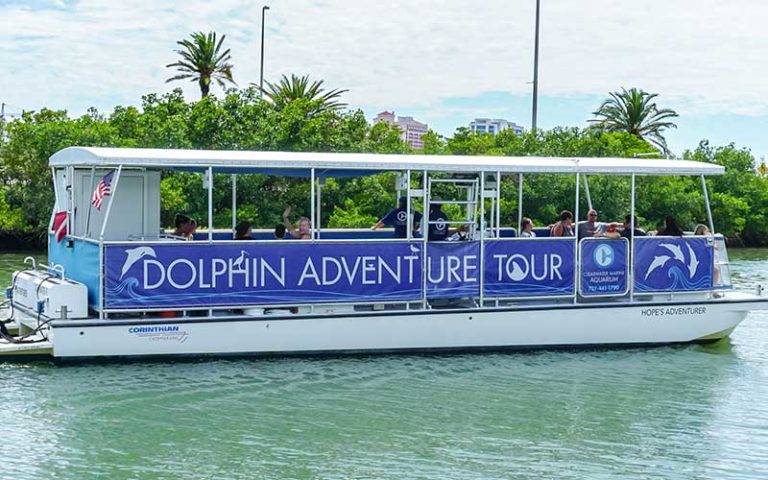 tour boat on inlet for dolphin adventure tour at clearwater marine aquarium