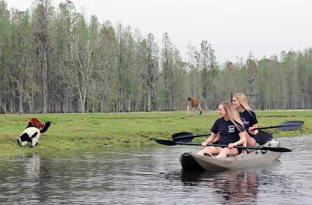 two girls kayaking watch lemurs on the bank at safari wilderness ranch lakeland
