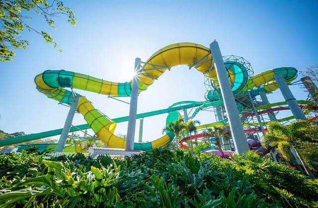 water slides and foliage in the sun at adventure island tampa bay