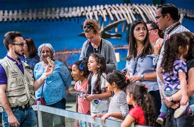 group of parents and kids learn about dinosaur fossils at orlando science center