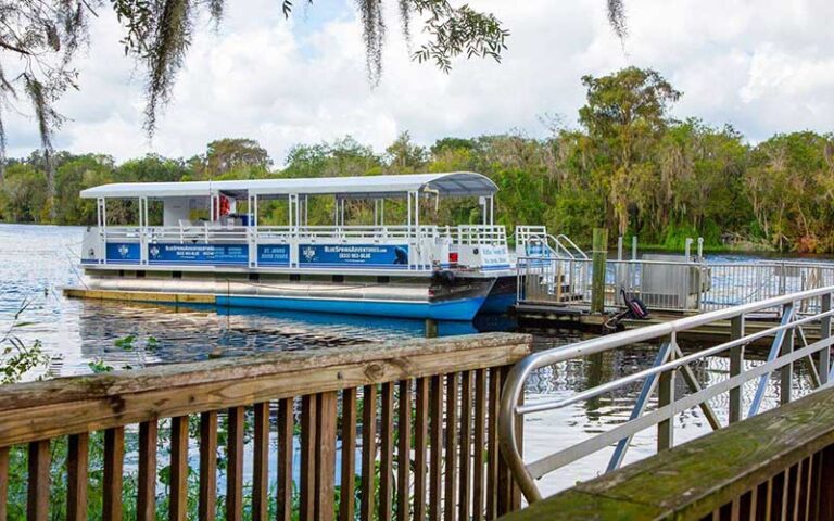 pontoon boat cruise at blue spring state park