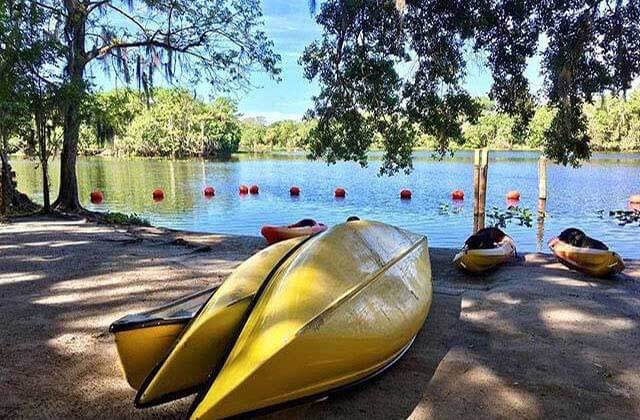stack of kayaks and canoes on the bank of a river with trees at st johns river cruises at blue spring state park florida