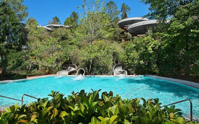 tube slides ending in pool under trees at runoff rapids at disneys blizzard beach walt disney world resort orlando