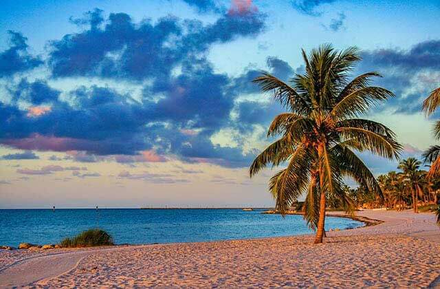 beach jetty with row of palm trees and twilight sky at key west beaches