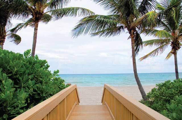 boardwalk stairs to sand on a beach with tropical vegetation and palms at floridas hollywood beach