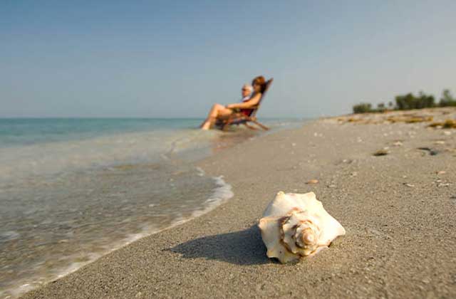 conch shell in the sand with beach goers sitting in lounge chairs at south west beaches