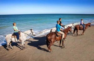 family of four on horseback riding along the beach at st lucie beaches florida