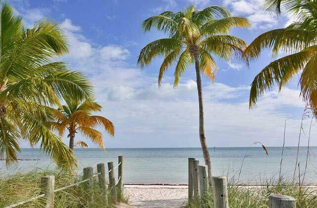 fence posts sea oats and palm trees line path to shore at key west beaches