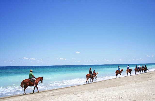 group riding horses along a shoreline at central east beaches