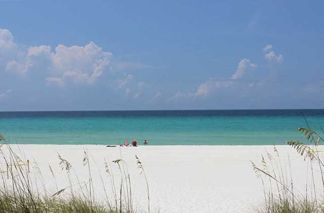 sugar white sand with sea oats on a beach with blue water at panhandle beaches