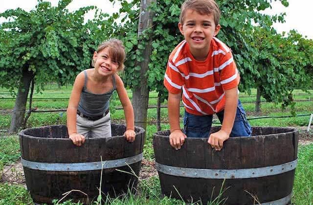 boy and girl smile while stomping on grapes in tubs at lakeridge winery vineyards orlando