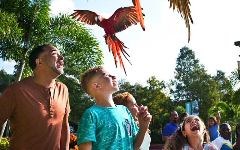 family looking up at macaws flying overhead at zootampa at lowry park