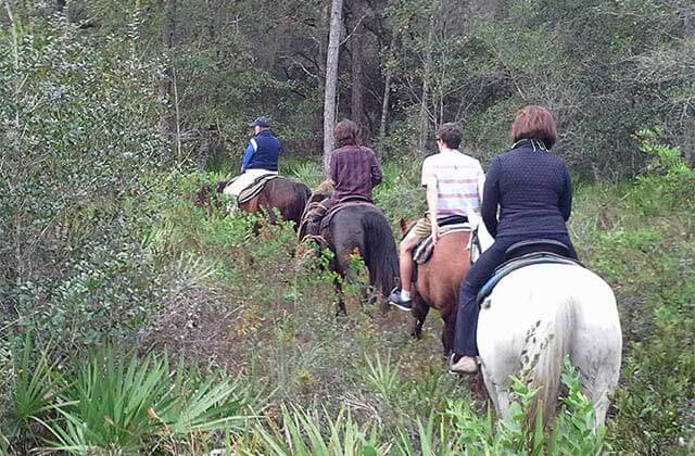 group of four horseback riders move through florida brush and trees at makin tracks trail rides ocala