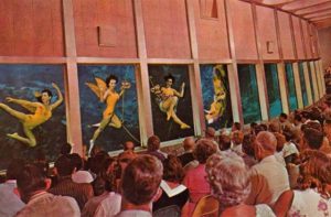 historic photo of crowd viewing mermaid performers in tank windows at weeki wachee springs state park