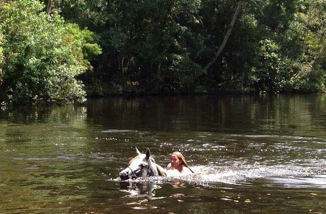 horseback rider swims in river at makin tracks trail rides ocala