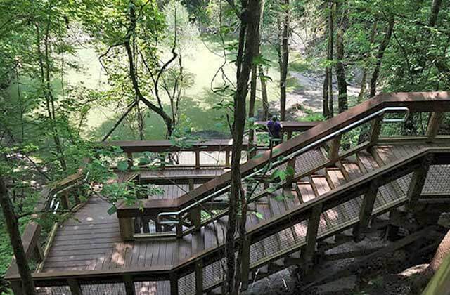 several flights of stairs leading down into a sinkhole ravine area in a forest at devils millhopper geological state park gainesville