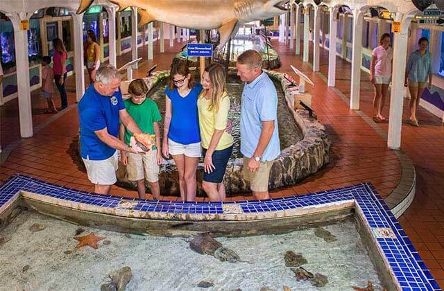 family speaks with tour guide holding a conch shell at key west aquarium