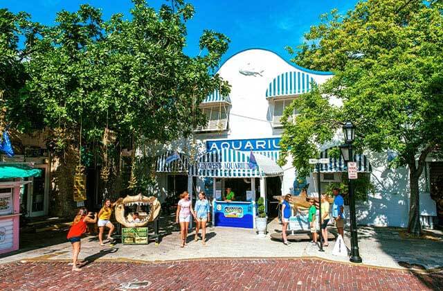 front exterior with blue and white awnings and a shark jaw bone at key west aquarium