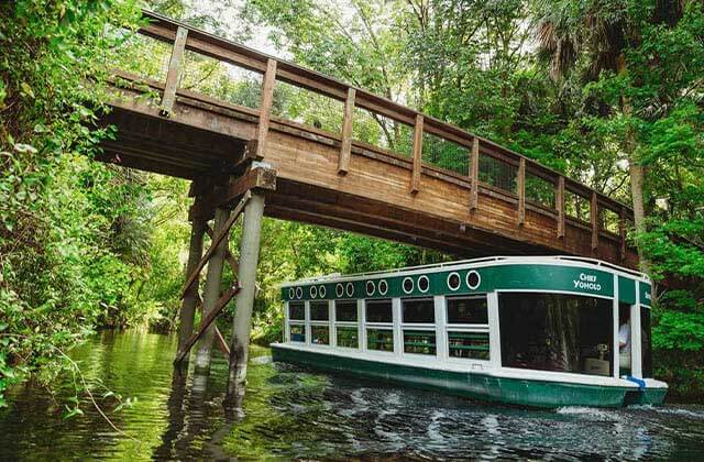 Silver Springs State Park Glass Bottom Boat Tours Near Ocala Fl