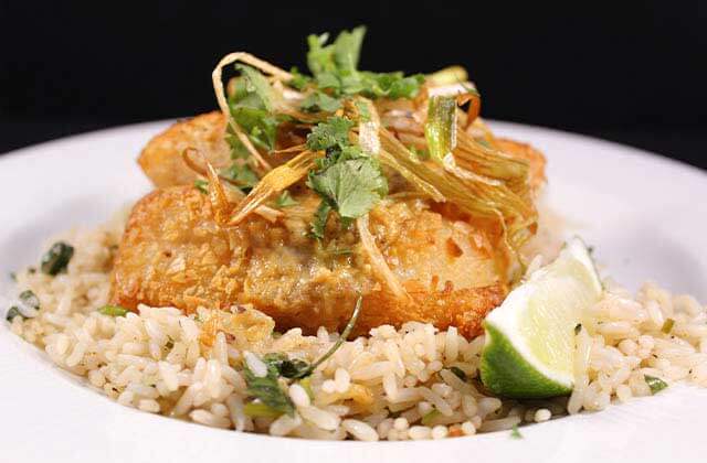 gourmet fish with rice and lime entree at marina cantina tequila bar grill clearwater