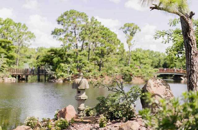 lush green plants over water and red bridges at morikami museum japanese gardens delray beach