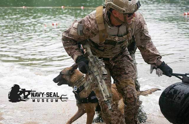 navy seal soldier in camo gear with gun and german shepherd training in water with raft at national navy udt seal museum ft pierce