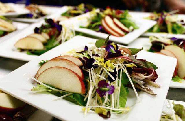 several plates with spring salads and apple slices at clear sky beachside cafe clearwater