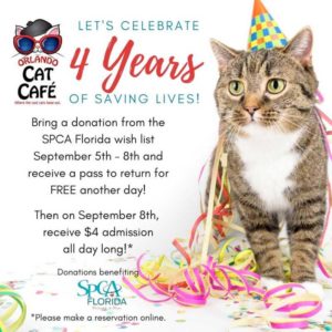 Let's celebrate 4 years of saving lives! Bring a donation from the spca florida wish list september 5th - 8th and receive a pass to return for free another day! Then on September 8th, receive $4 admission all day long! * Please make a reservation online. Cat with colorful checkered party hat and streamers