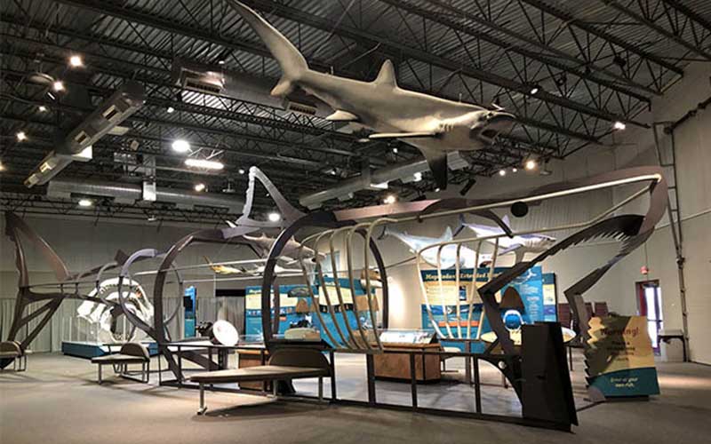 walk thru shark exhibit megalodon feature florida museum gainesville