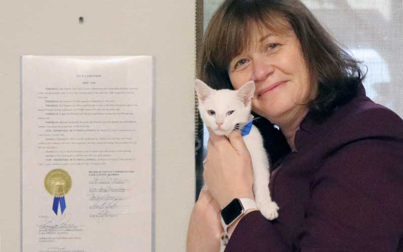 woman hugging a white cat next to a certificate on the wall for orlando cat cafe honored post