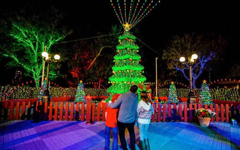 family gathered around giant christmas tree made of lego bricks at night