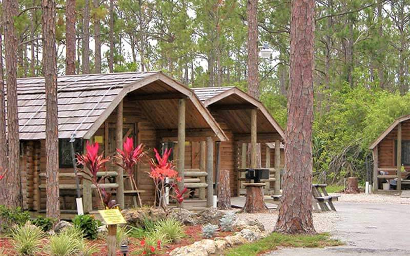 log cabins in the woods with picnic tables and native plants at lion country safari koa