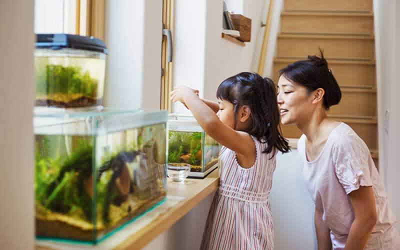 mom and daughter feeding fish in an aquarium on a shelf