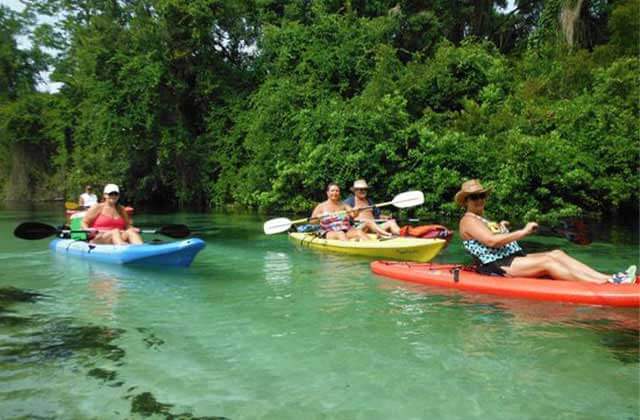 kayakers in blue red and yellow kayaks on a river with trees at weeki wachee springs state park