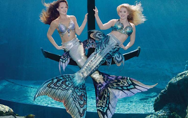 pair of mermaids on anchor at weeki wachee