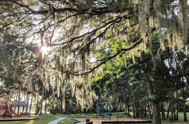 playground under a thick canopy of oak trees with spanish moss at hontoon island state park deland florida