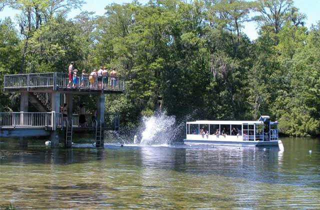 swimmers jumping from a dive platform into the river near a glass bottom boat at the lodge at wakulla springs state park florida