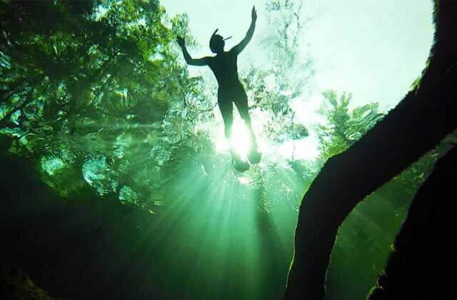 view from below of snorkeler in green water with trees above at blue spring state park orange city florida