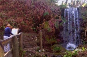 woman views waterfall from bridge while painting a canvas with red foliage at rainbow springs state park dunnellon florida