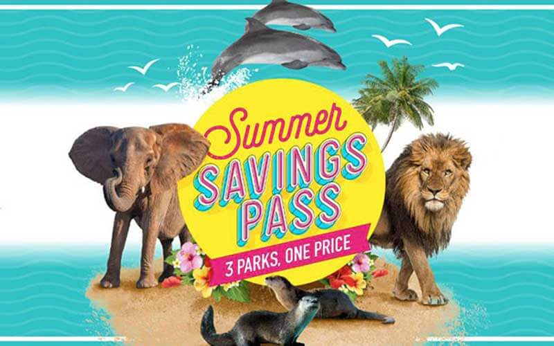 elephant lion dolphins and otters for summer savings pass