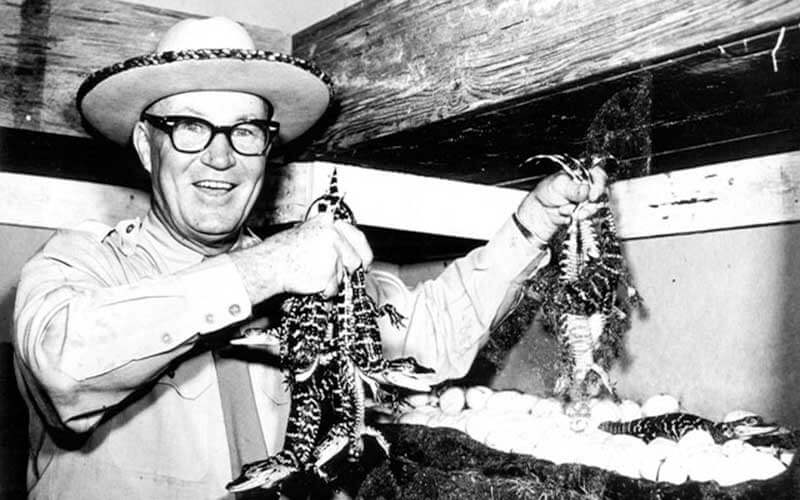 black and white photo of founder of gatorland, Owen Godwin wearing a brimmed hat holding many baby alligators