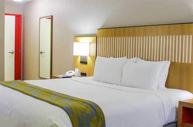hotel room with king size bed and red door at wyndham orlando resort international drive