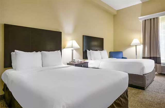 hotel room with two large beds and brown decor at comfort inn international drive orlando