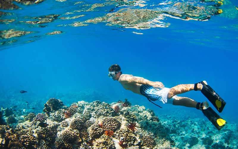 man free dives wearing a snorkel mask and fins over coral reef