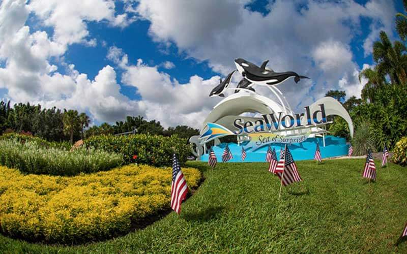 American flags on a manicured lawn in front of the sea world sign with orca whale statues over the sign at sea world orlando florida