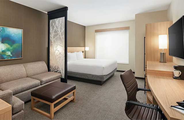 upscale hotel room with queen bed sofa chair ottoman desk and tv with brown carpet and decor at hyatt place melbourne palm bay florida