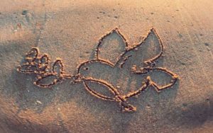 dove and olive branch peace symbol drawn in sand on a beach for places of worship guide